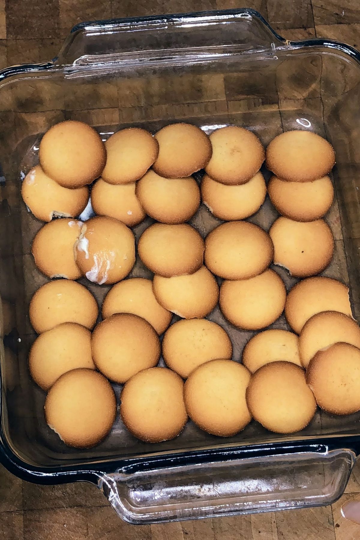 Nilla wafers in a single layer in a pan.
