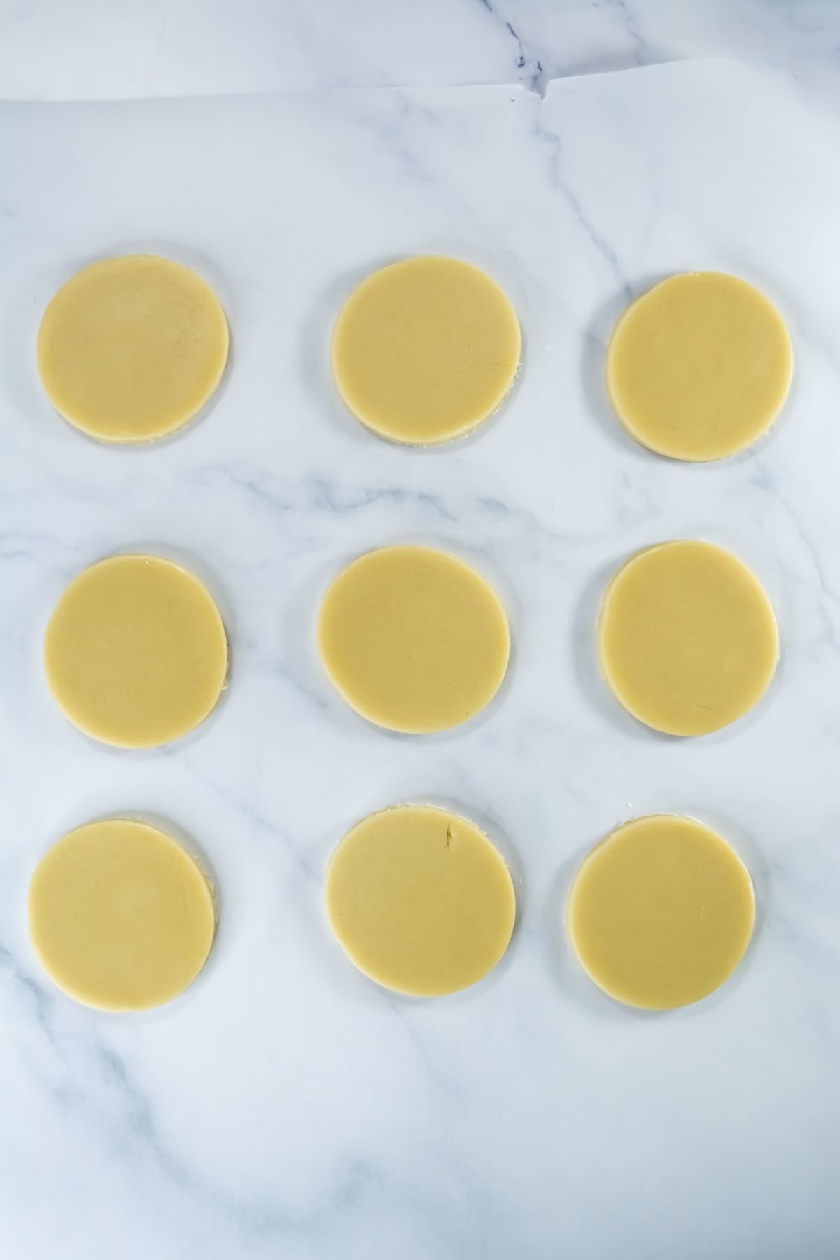 Cookie down cut into circles on parchment paper.