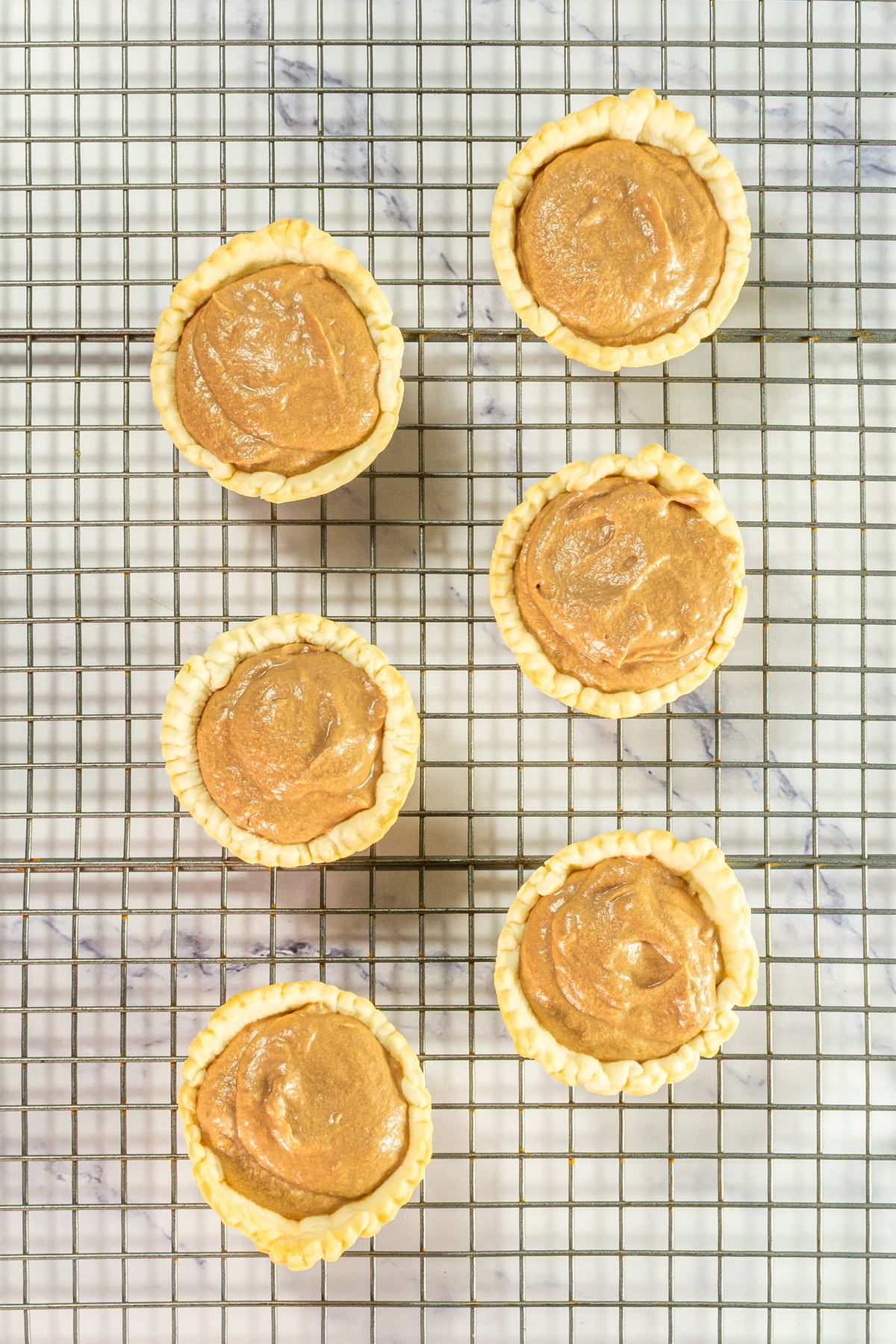 Mini pie crusts filled with chocolate silk filling.